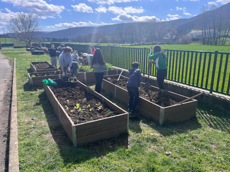 SEGUIMIENTO DE LA HUERTA DE LA ESCUELA